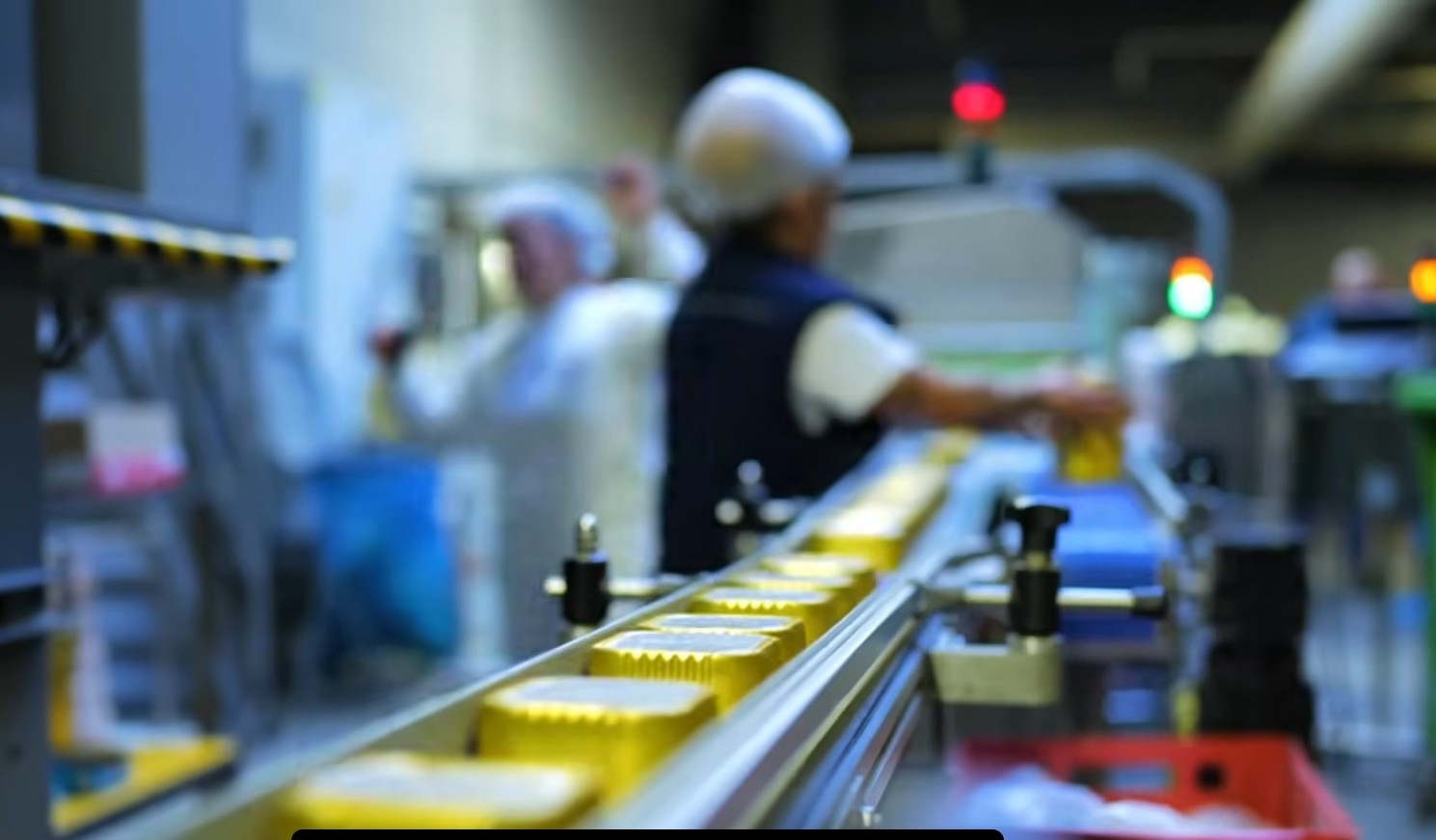 Productielijn bij Teeling Petfood